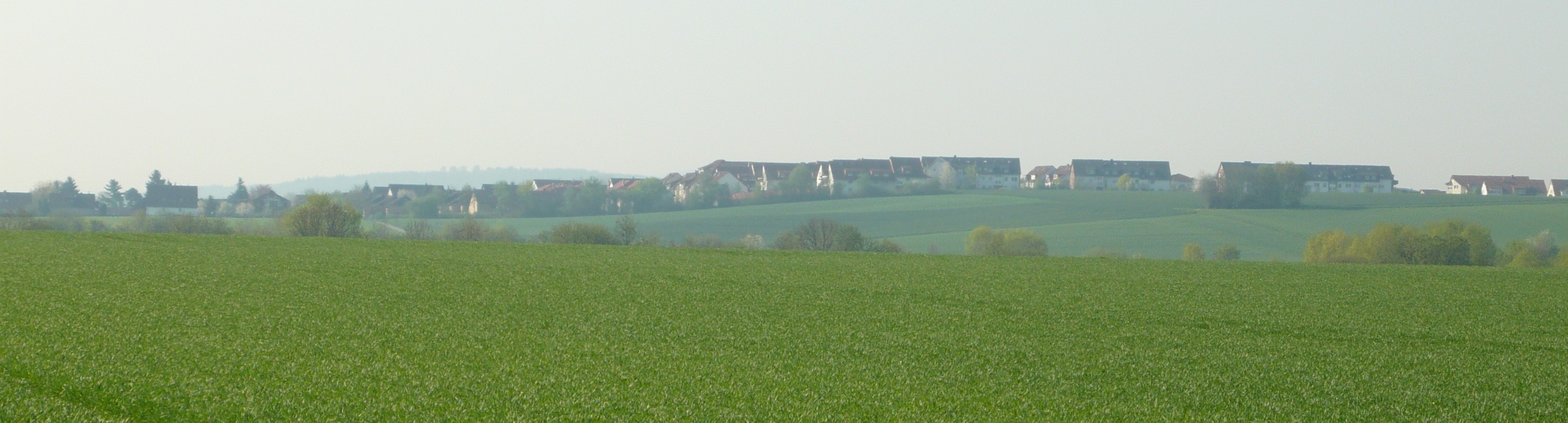 Siekanger Frühjahr 2011